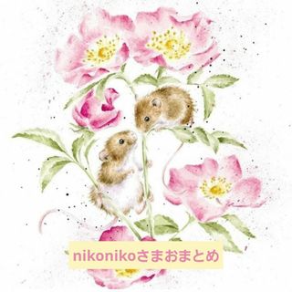 リバティ(LIBERTY.)の🌷nikonikoさまご専用ページ🌷(ポーチ)