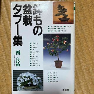 鉢もの・盆栽タブ－集(その他)