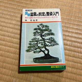 図説  盆栽の剪定と整姿入門(その他)