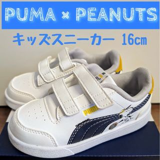 PUMA × PEANUTS コラボ キッズスニーカー 16cm