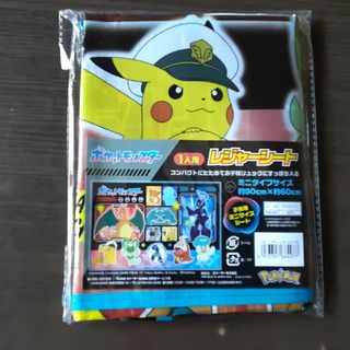 限定:大人気のポケットモンスターレジャー(ミニタイプ一人用)