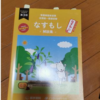 なすもし 看護師国家試験 模試 解答 112回(資格/検定)