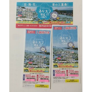 ネモフィラ祭り2024  招待券１枚+割引券2枚(大阪まいしまシーサイドパーク(その他)