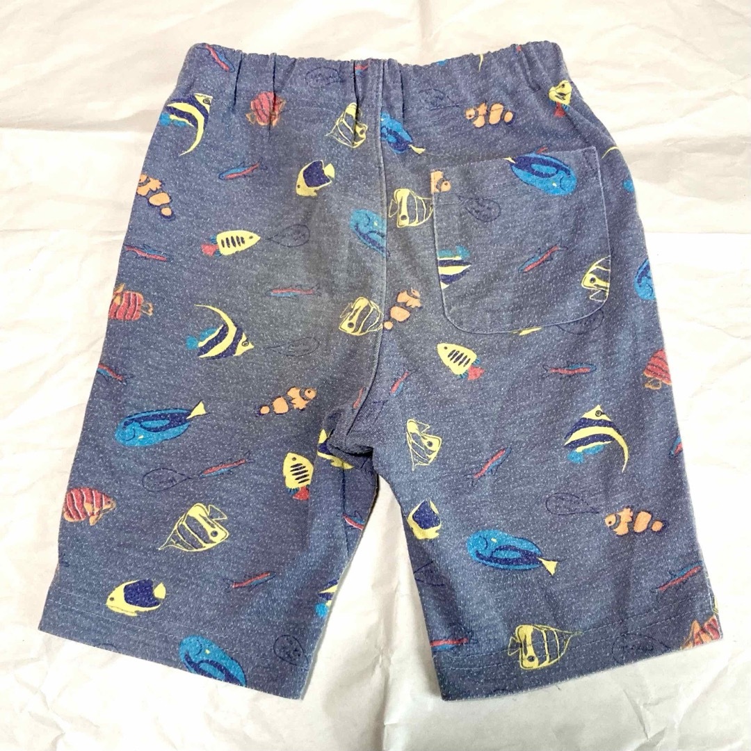 西松屋(ニシマツヤ)の【95サイズ/同梱で200円引】お魚柄 ハーフパンツ ショートパンツ キッズ/ベビー/マタニティのキッズ服男の子用(90cm~)(パンツ/スパッツ)の商品写真