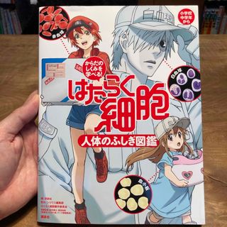 からだのしくみを学べる！はたらく細胞人体のふしぎ図鑑(絵本/児童書)