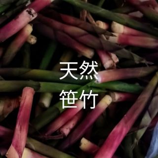 岩手県産　天然　笹竹　500g(野菜)