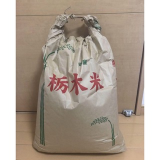 栃木米　農家 お米 1.8㎏　新米(米/穀物)
