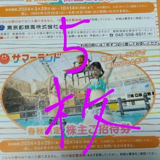 サマーランド春秋限定株主優待　５枚(遊園地/テーマパーク)