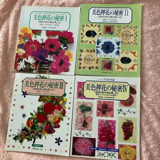 美色押し花の秘密1〜4ふしぎな花倶楽部(趣味/スポーツ/実用)