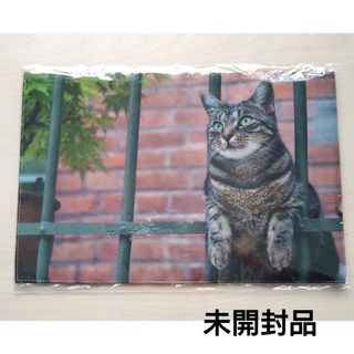 【未開封】岩合光昭 ブックカバー 世界ネコ歩き 猫 写真 グッズ 日本製 猫好き(その他)