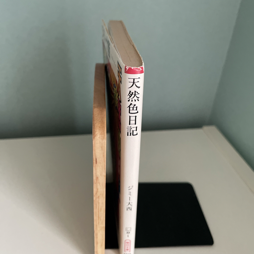 天然色日記 エンタメ/ホビーの本(文学/小説)の商品写真