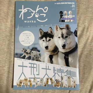 美品　月刊わんこ（月刊GOLDEN RETRIEVER）(文芸)