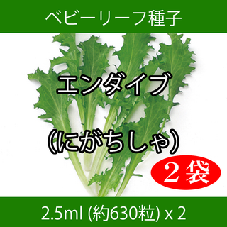 ベビーリーフ種子 B-17 エンダイブ（にがちしゃ） 2.5ml約630粒x2袋(野菜)