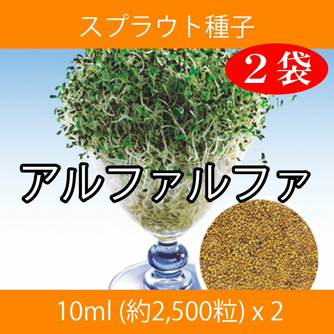 スプラウト種子 S-16 アルファルファ 10ml 約2,500粒 x 2袋 食品/飲料/酒の食品(野菜)の商品写真