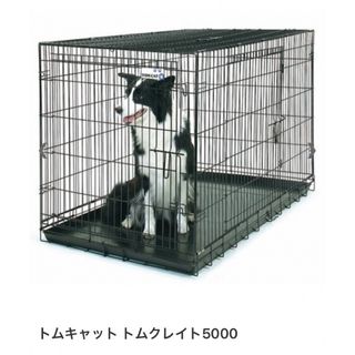 トムクレイト5000 大型犬(犬)