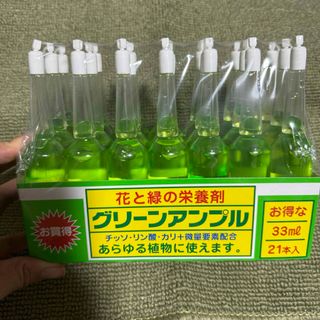 グリーンアンプル　33ml*21個(その他)