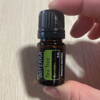 ドテラ(doTERRA)のdoTERRA ティーツリー(メラルーカ) 5ml (エッセンシャルオイル（精油）)