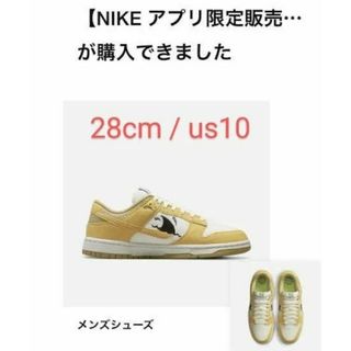 ナイキ(NIKE)のNike Dunk Low Sun Club 28cm / us10(スニーカー)