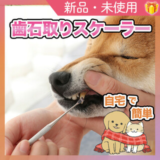 ペット用 スケーラー 犬 猫 ネコ 歯石除去 歯ブラシ 歯周病 虫歯予防 歯科(犬)