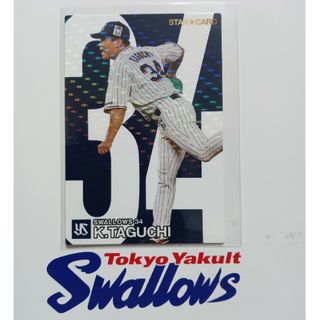 カルビー - カルビープロ野球 チップス カード ヤクルトスワローズ S-09 田口麗斗 34