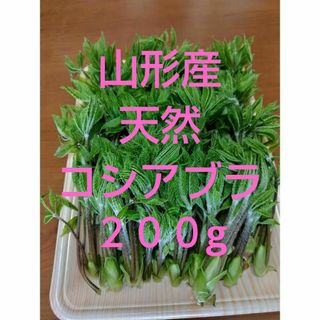 山形産天然こしあぶら(野菜)