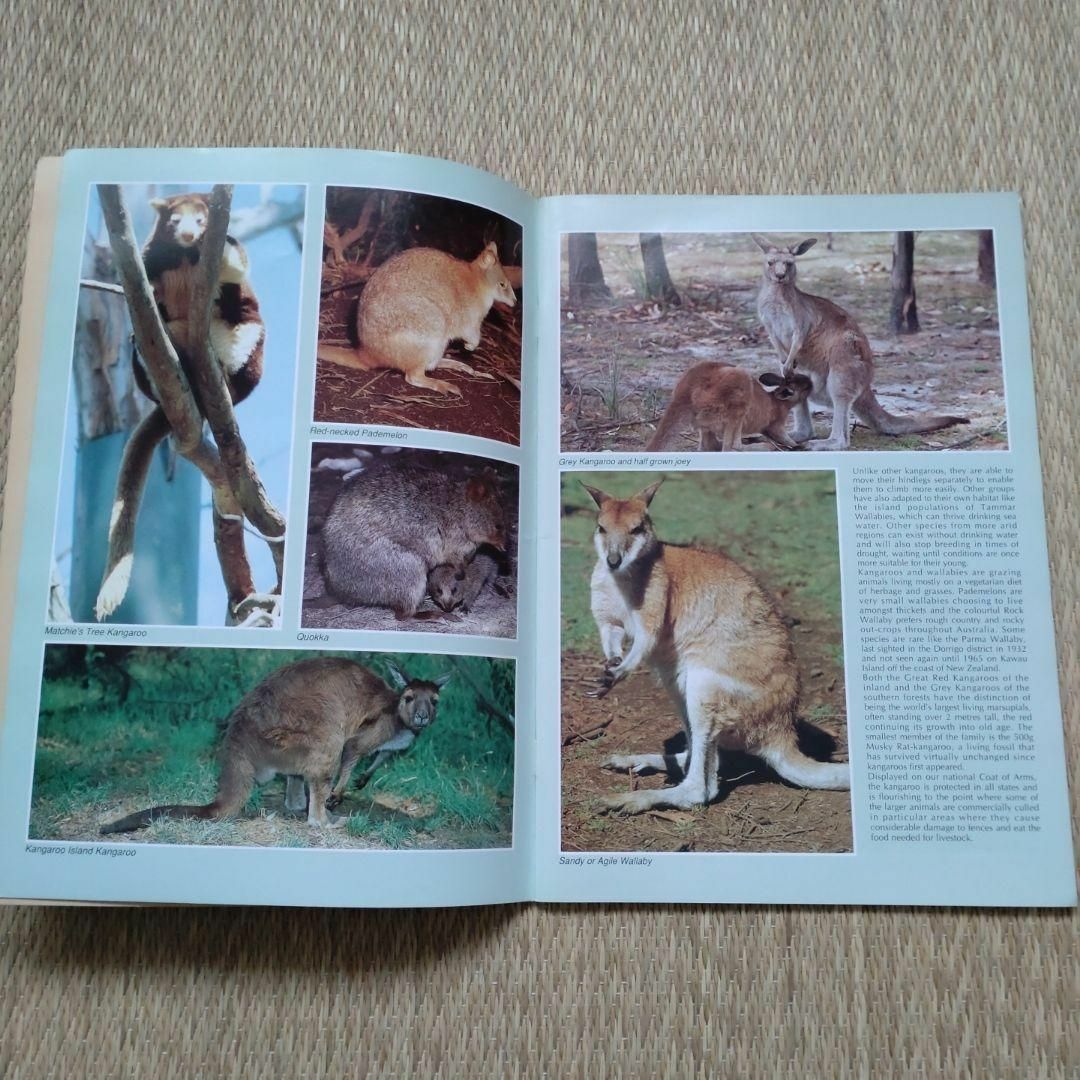 オーストラリアの動物　冊子 エンタメ/ホビーの雑誌(その他)の商品写真