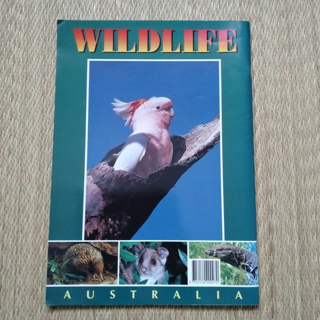 オーストラリアの動物　冊子 エンタメ/ホビーの雑誌(その他)の商品写真