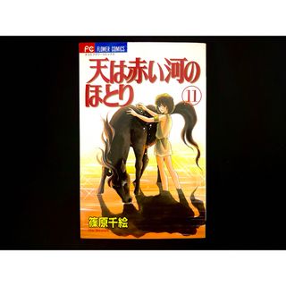 ショウガクカン(小学館)の【中古本】　天は赤い河のほとり　漫画　11巻(その他)