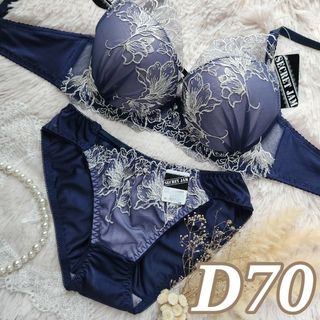 №667【D70】シアーエンブロイダリーブラジャー&フルバックショーツ(ブラ&ショーツセット)