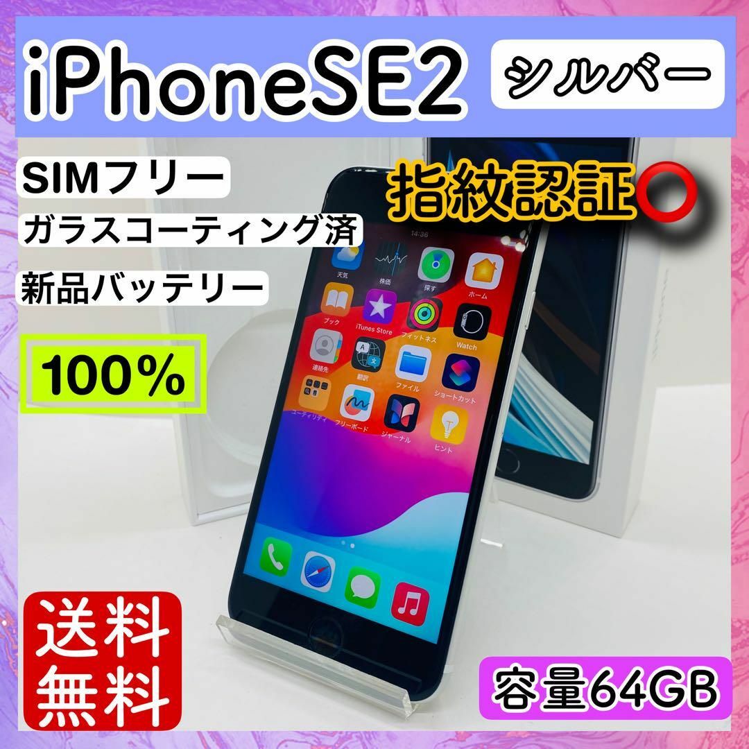 Apple(アップル)の【美品】iPhone SE2 シルバー 64 GB SIMフリー 本体 スマホ/家電/カメラのスマートフォン/携帯電話(スマートフォン本体)の商品写真