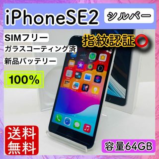 アップル(Apple)の【美品】iPhone SE2 シルバー 64 GB SIMフリー 本体(スマートフォン本体)