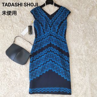 タダシショウジ(TADASHI SHOJI)の未使用 タグ付 タダシショージ ノースリーブ レース ワンピース 定価7.5万(ひざ丈ワンピース)