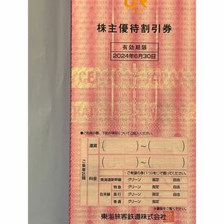 ジェイアール(JR)の東海旅客鉄道株式会社（JR東海）株主優待割引券2枚(鉄道乗車券)