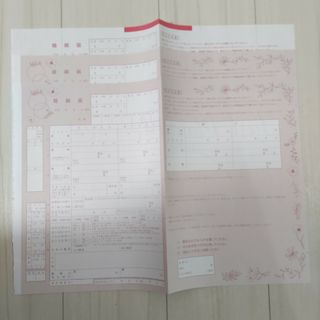 ゼクシィ★婚姻届２枚＋練習用１枚(印刷物)