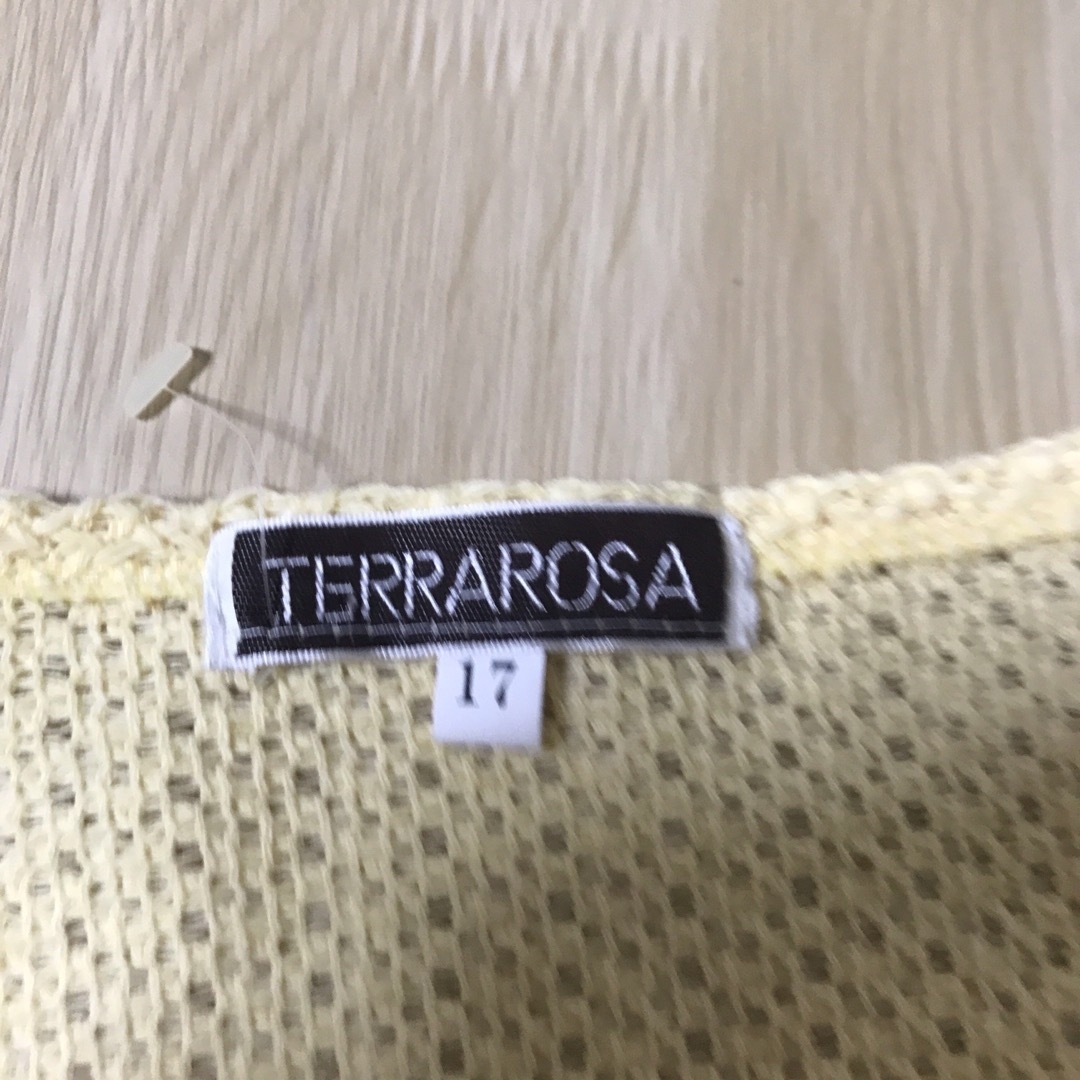 未使用タグ付き　TERRAROSA 大きめサイズ17 レディースのトップス(カットソー(半袖/袖なし))の商品写真