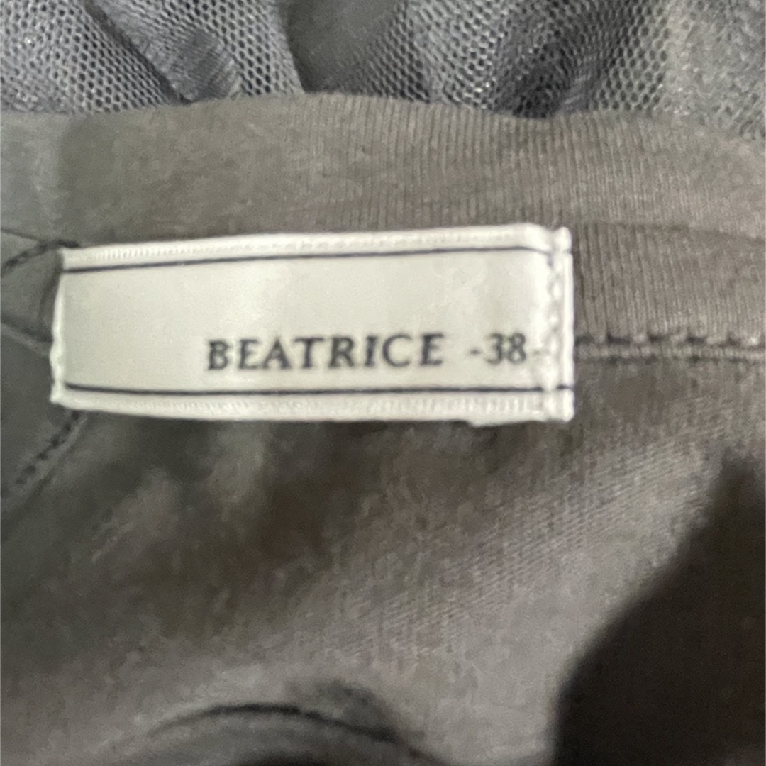 BEATRCE チュールTシャツ レディースのトップス(Tシャツ(半袖/袖なし))の商品写真