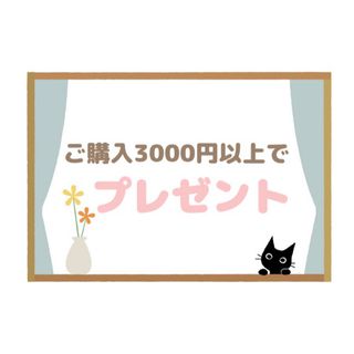 3000円以上お買い上げでお好きなものを1点プレゼントします(その他)