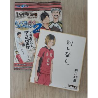 ハイキュー！！　ビジュアル色紙コレクション2  音駒高校　孤爪研磨(アニメ)