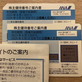 【未使用】ANA株主優待券 2枚セット(その他)
