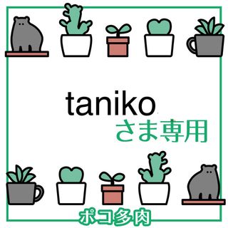 tanikoさま専用　ポコ多肉植物おまとめ韓国苗(その他)