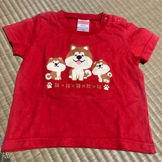 秋田犬のTシャツ(Tシャツ/カットソー)