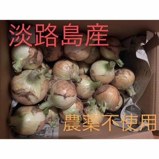 淡路島産　農薬不使用　新玉ねぎ　5kg(野菜)