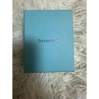 ティファニー(Tiffany & Co.)のティファニー　ネックレス(ネックレス)