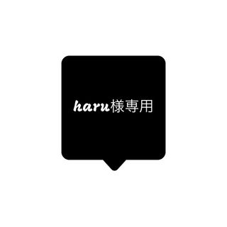 haru様専用(ピアス)