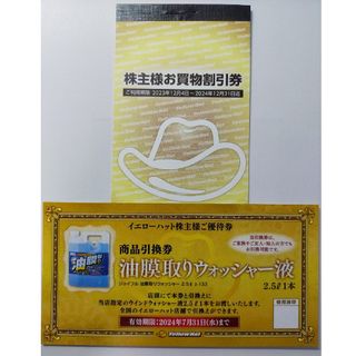 イエローハット株主優待　300円×10枚＋ウォッシャー液引換券1枚(その他)