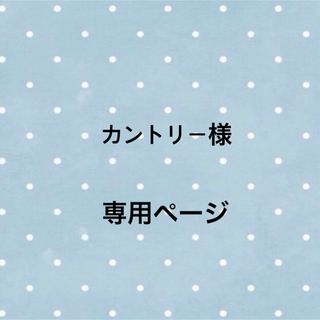 カントリー様専用ページ(iPhoneケース)