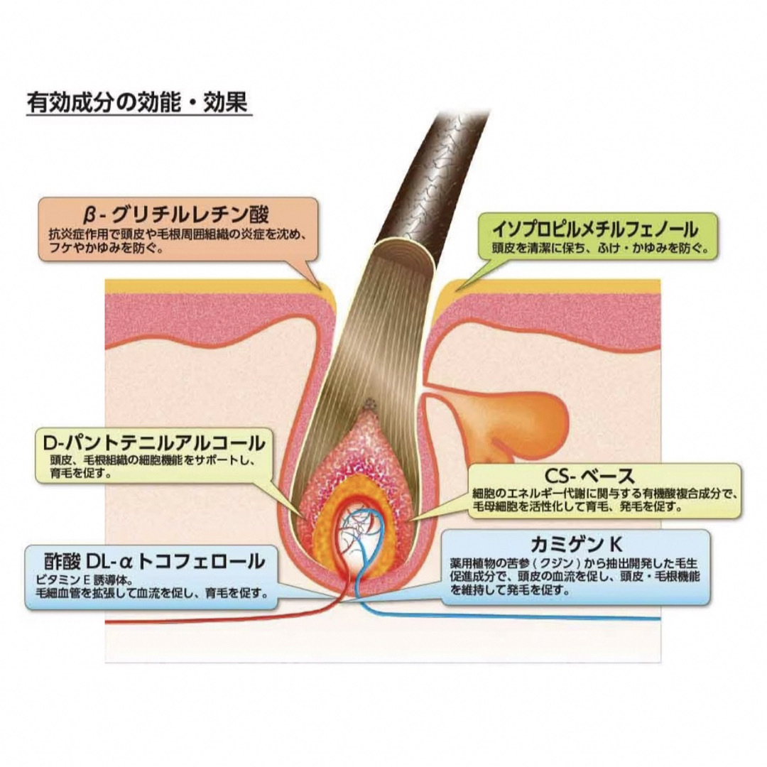 加美乃素(カミノモト)の加美乃素レディシック薬用美髪エッセンス 無香料 180ml コスメ/美容のヘアケア/スタイリング(スカルプケア)の商品写真