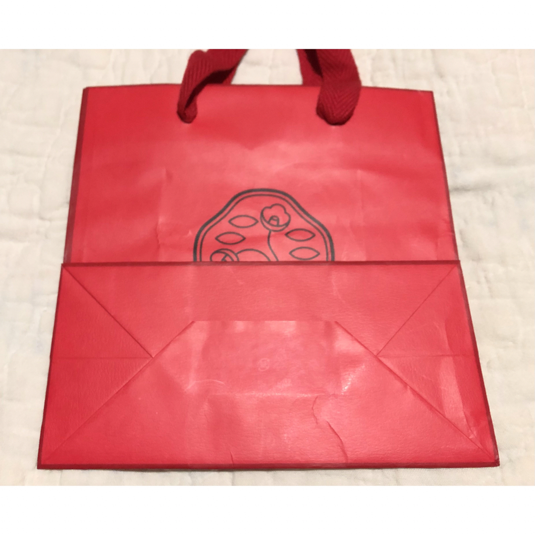 Christian Dior(クリスチャンディオール)のショッパー Chloe DIOR SHISEIDO GINZA TOKYO レディースのバッグ(ショップ袋)の商品写真