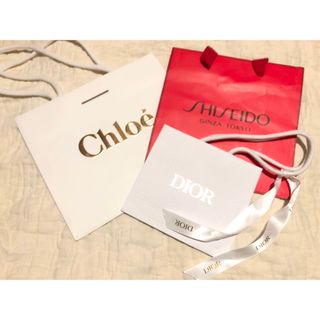 クリスチャンディオール(Christian Dior)のショッパー Chloe DIOR SHISEIDO GINZA TOKYO(ショップ袋)