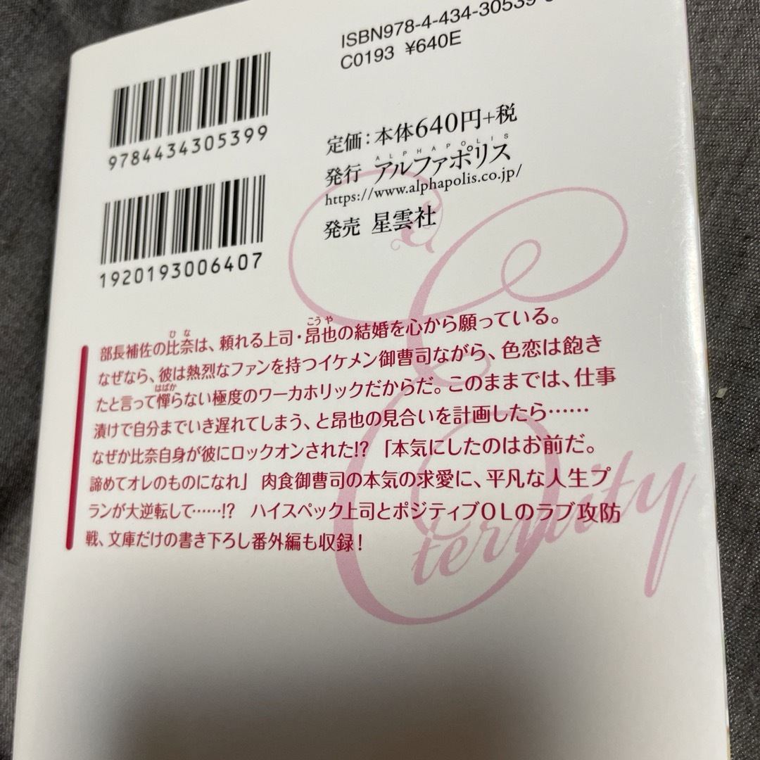 エタニティ文庫４冊セット エンタメ/ホビーの本(文学/小説)の商品写真